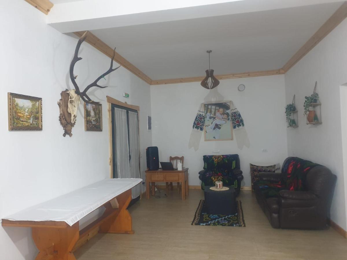 Casa Tomoiaga Hotel Viseu de Sus Ngoại thất bức ảnh